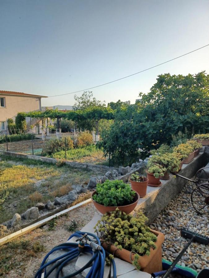 Stone Guest House Split Ngoại thất bức ảnh